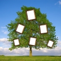 genealogie-definition